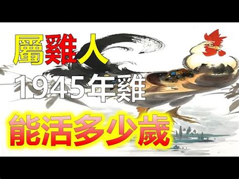 1945年屬什麼|【1945生肖】立即查詢：1945 年出生屬什麼？完整生肖對照表揭。